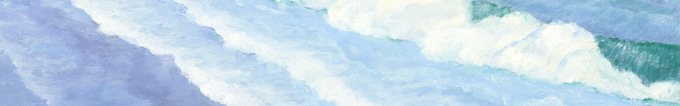 MS banner